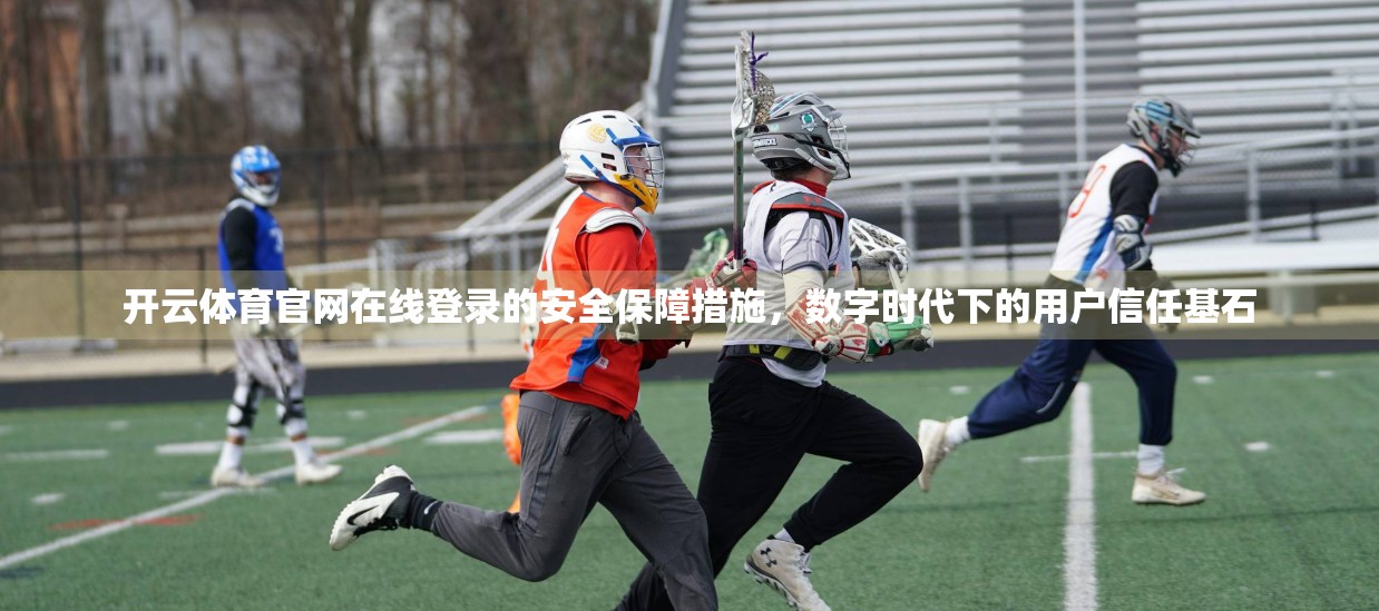 开云体育官网在线登录的安全保障措施，数字时代下的用户信任基石