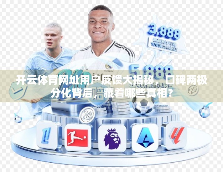 开云体育网址用户反馈大揭秘，口碑两极分化背后，藏着哪些真相？