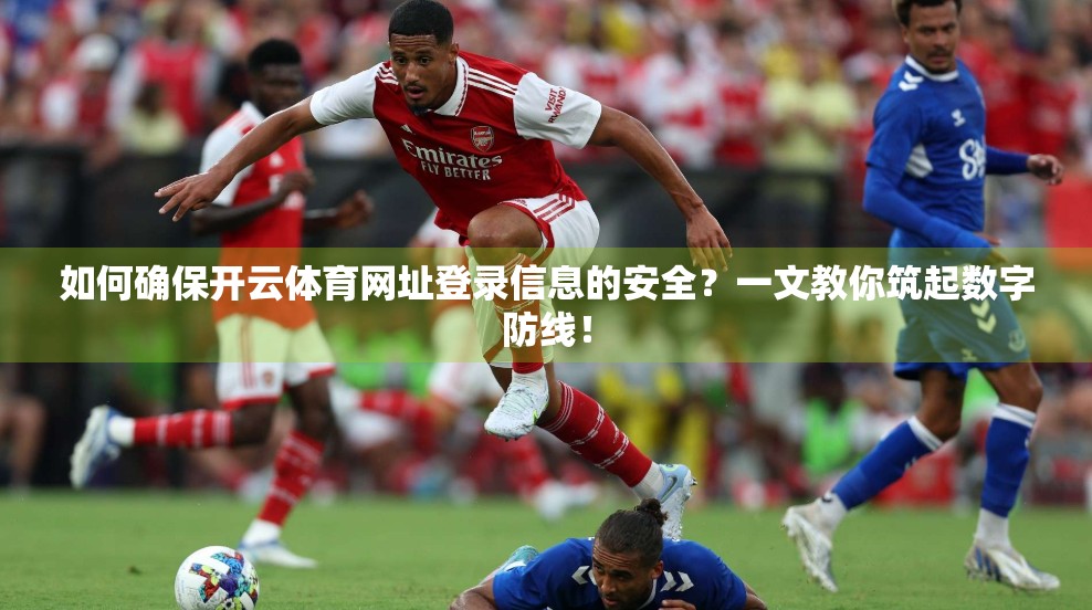 如何确保开云体育网址登录信息的安全？一文教你筑起数字防线！