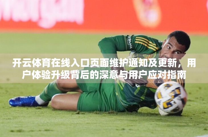 开云体育在线入口页面维护通知及更新，用户体验升级背后的深意与用户应对指南