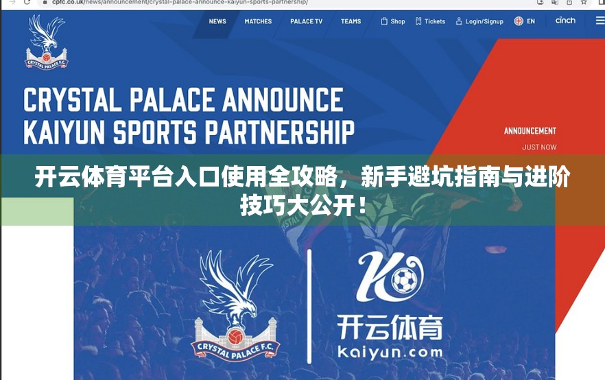 开云体育平台入口使用全攻略，新手避坑指南与进阶技巧大公开！