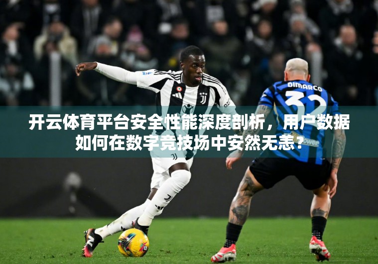 开云体育平台安全性能深度剖析，用户数据如何在数字竞技场中安然无恙？