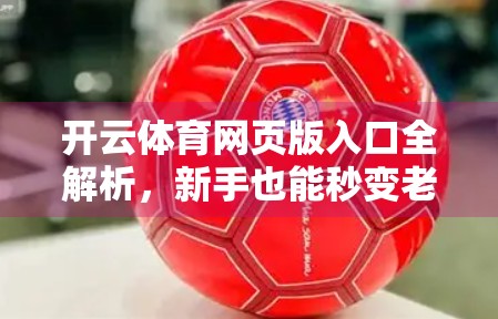 开云体育网页版入口全解析，新手也能秒变老手的操作指南！