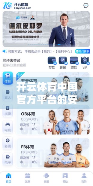 开云体育中国官方平台的安全支付系统，用户信任的基石与数字时代的护航者