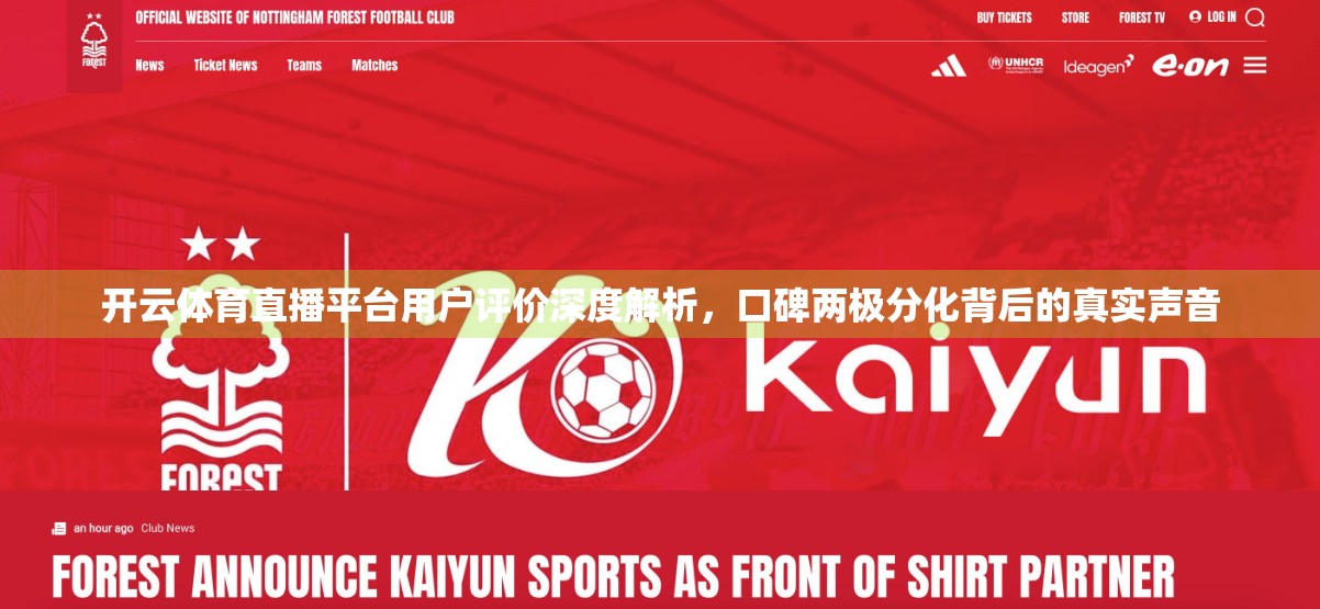 开云体育直播平台用户评价深度解析，口碑两极分化背后的真实声音