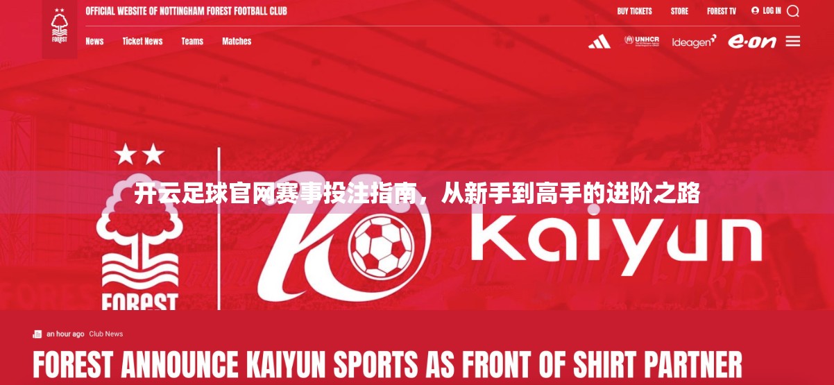 开云足球官网赛事投注指南，从新手到高手的进阶之路