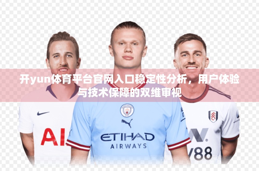 开yun体育平台官网入口稳定性分析，用户体验与技术保障的双维审视