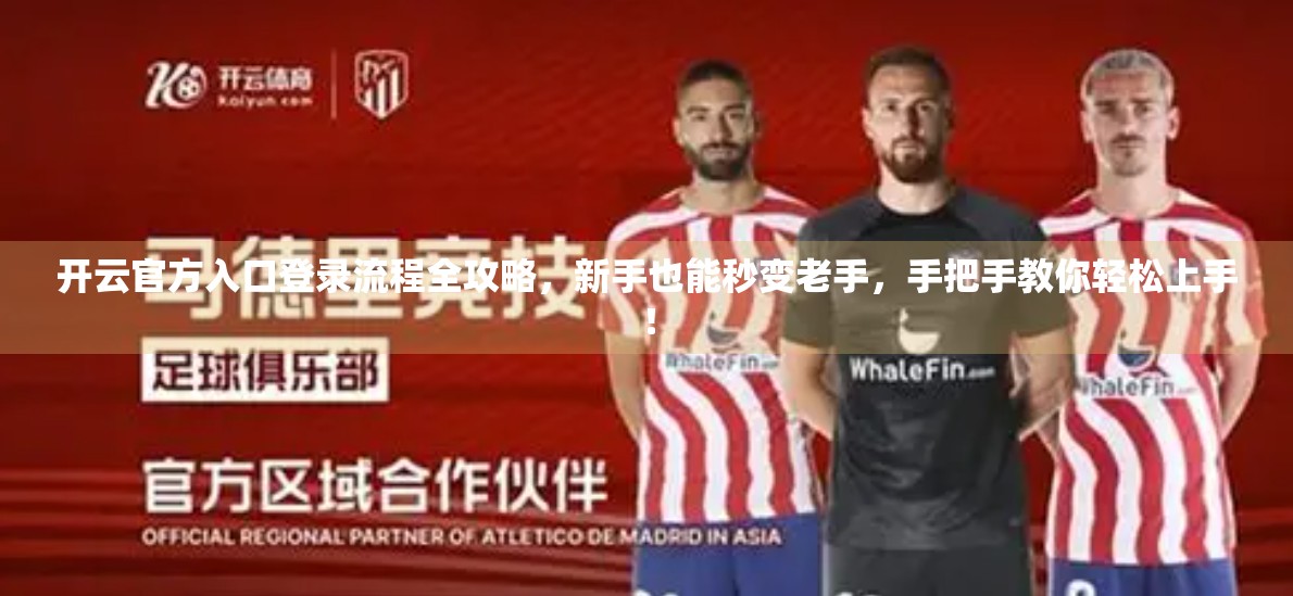 开云官方入口登录流程全攻略，新手也能秒变老手，手把手教你轻松上手！