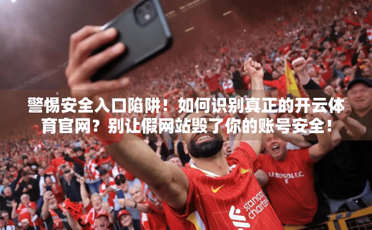 警惕安全入口陷阱！如何识别真正的开云体育官网？别让假网站毁了你的账号安全！
