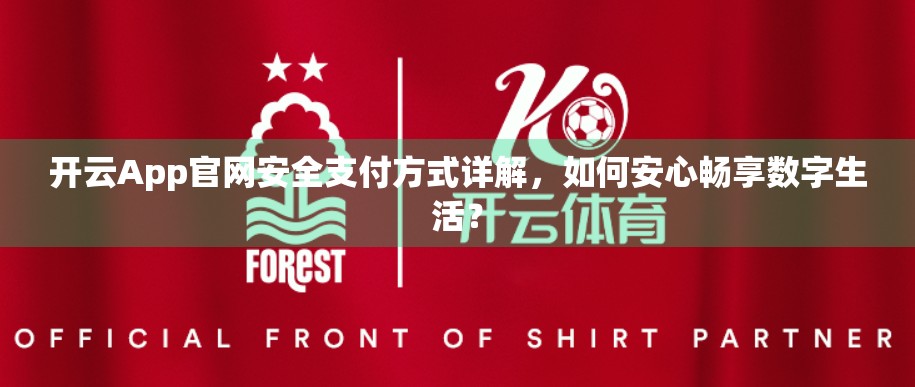 开云App官网安全支付方式详解，如何安心畅享数字生活？