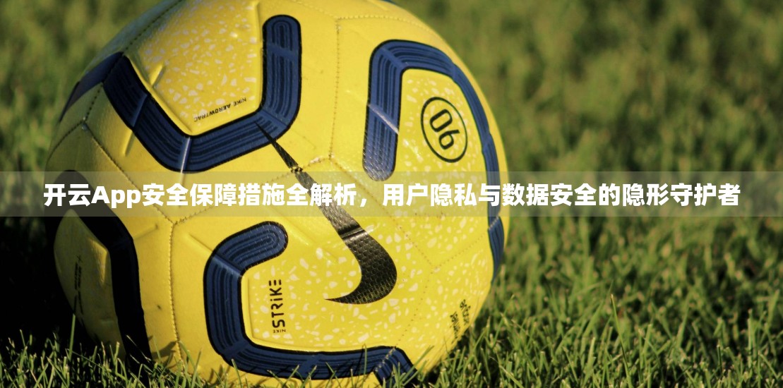 开云App安全保障措施全解析，用户隐私与数据安全的隐形守护者