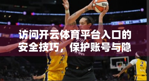 访问开云体育平台入口的安全技巧，保护账号与隐私的实用指南