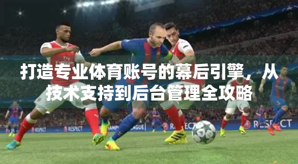 打造专业体育账号的幕后引擎，从技术支持到后台管理全攻略