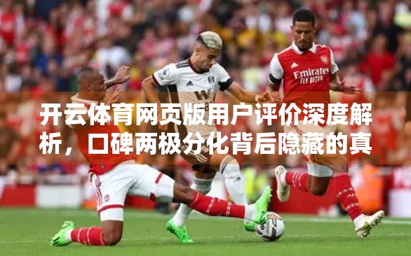 开云体育网页版用户评价深度解析，口碑两极分化背后隐藏的真相